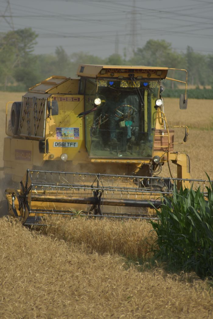 Combine harvester working in a wheat field during harvest season.