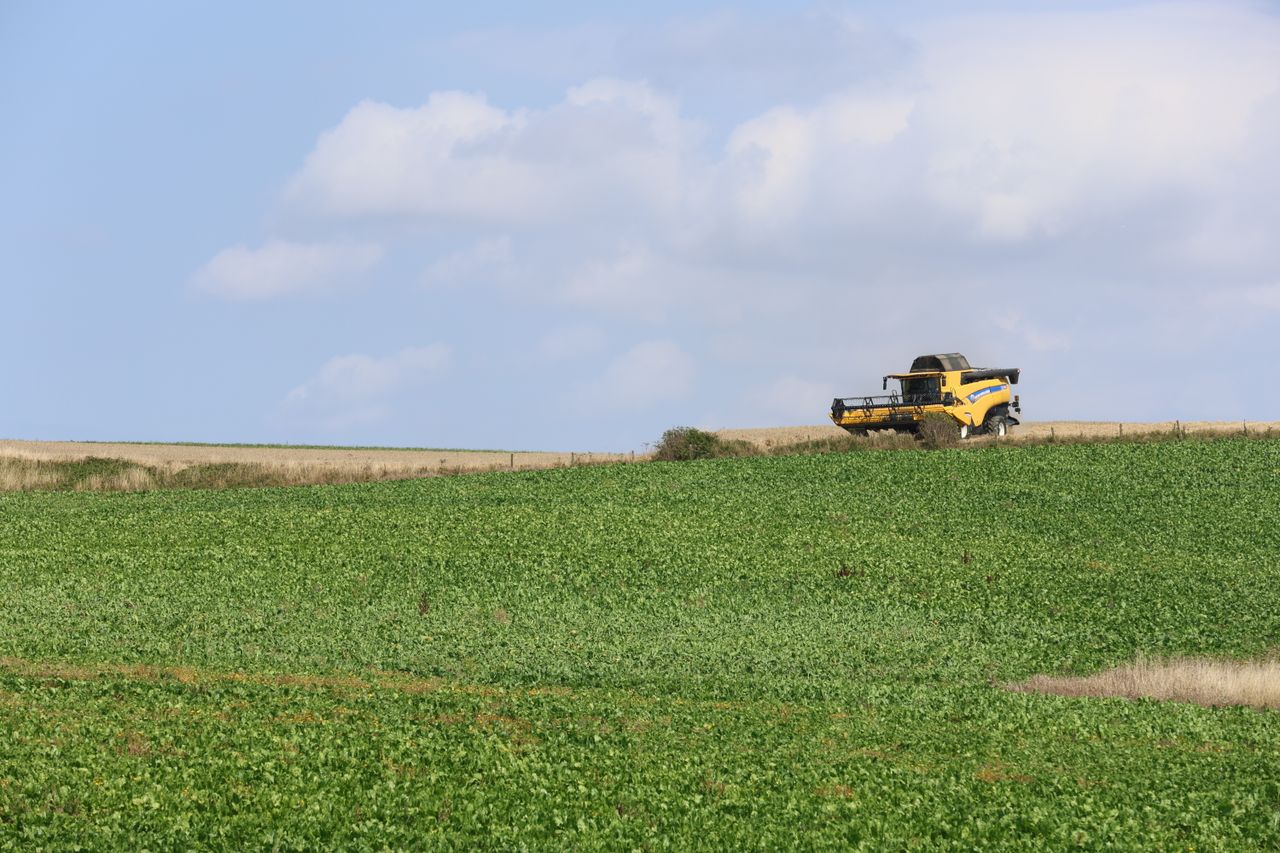 A combine harvester operates in a lush green field beneath a clear blue sky.